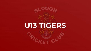 U13 Tigers