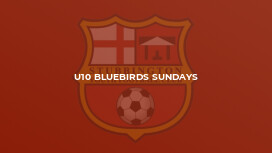 U10 Bluebirds Sundays