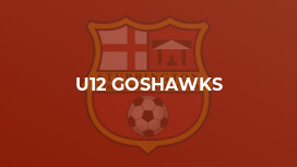 U12 Goshawks