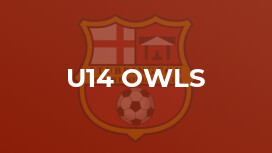 U14 Owls