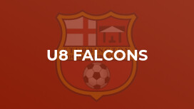 U8 Falcons