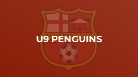 U9 Penguins