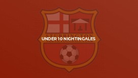 Under 10 Nightingales