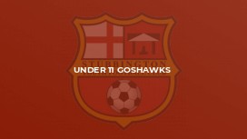 Under 11 Goshawks