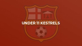 Under 11 Kestrels