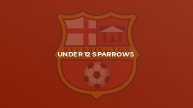 Under 12 Sparrows