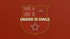 Under 13 Owls