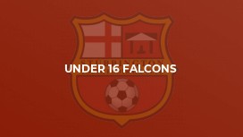 Under 16 Falcons