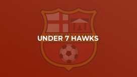 Under 7 Hawks