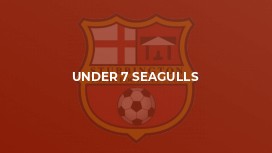 Under 7 Seagulls