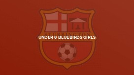 Under 8 Bluebirds Girls