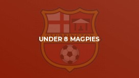 Under 8 Magpies