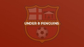 Under 8 Penguins