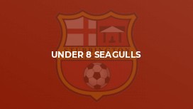 Under 8 Seagulls