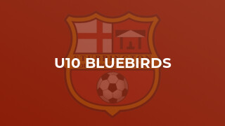 U10 Bluebirds