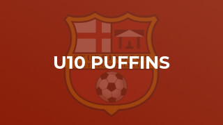 U10 Puffins