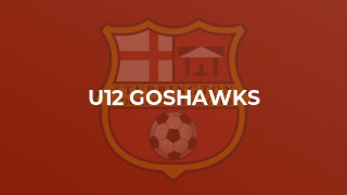 U12 Goshawks