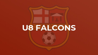 U8 Falcons