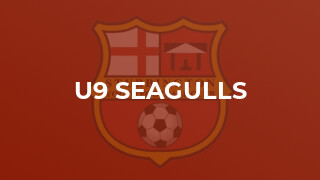 U9 Seagulls