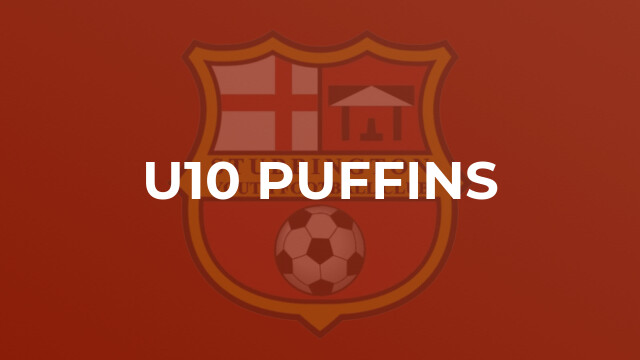U10 Puffins