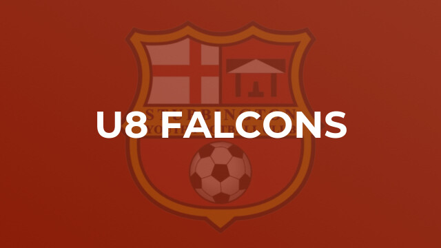 U8 Falcons