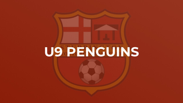 U9 Penguins