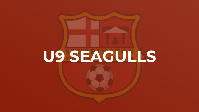 U9 Seagulls