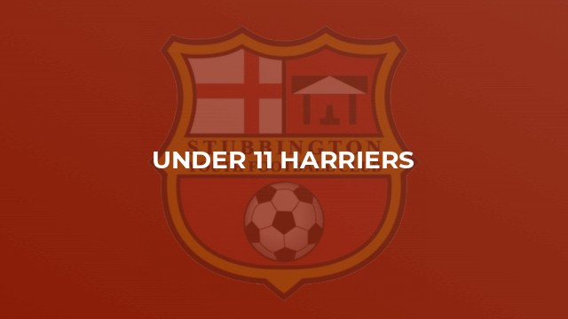 Under 11 Harriers