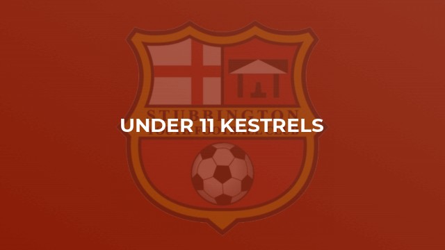 Under 11 Kestrels