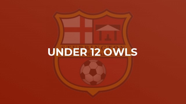 Under 12 Owls