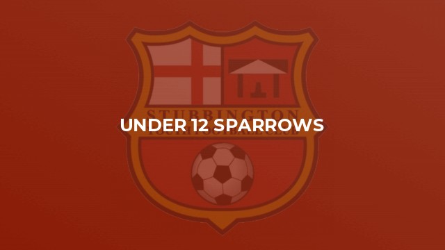 Under 12 Sparrows