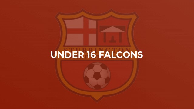 Under 16 Falcons