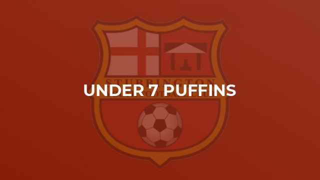 Under 7 Puffins