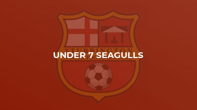 Under 7 Seagulls