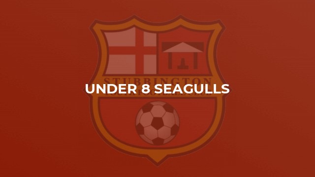 Under 8 Seagulls