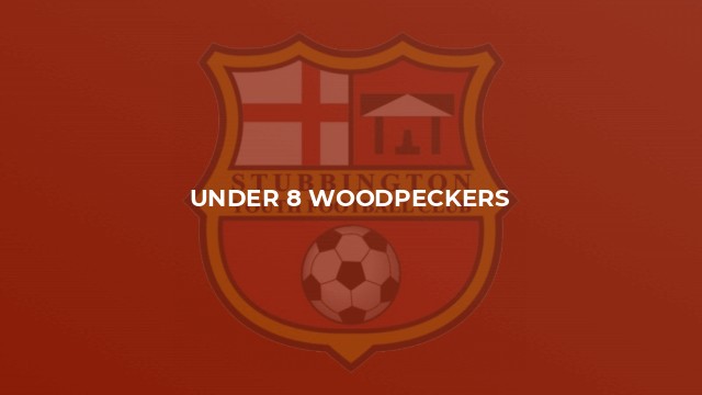 Under 8 Woodpeckers