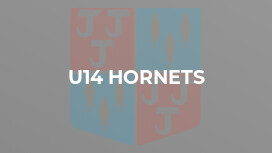 U14 Hornets