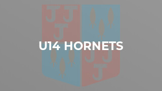 U14 Hornets