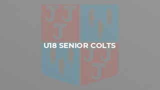 U18 Senior Colts