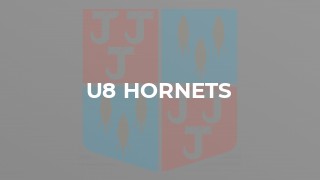 U8 Hornets