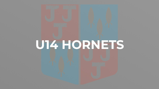 U14 Hornets