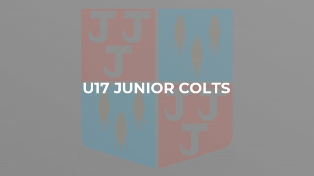 U17 Junior Colts