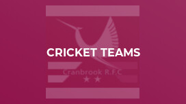 Cricket Teams