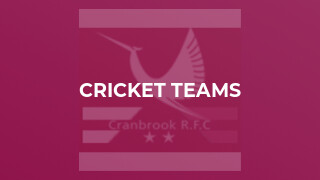 Cricket Teams