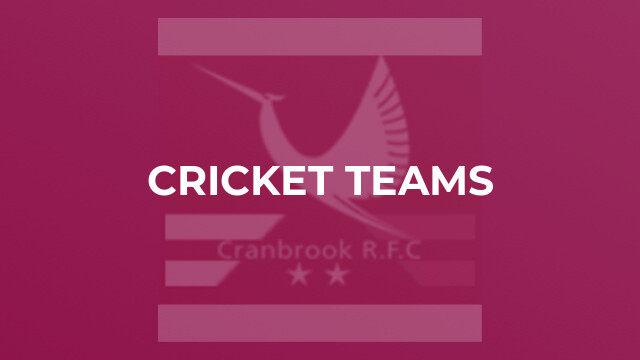 Cricket Teams