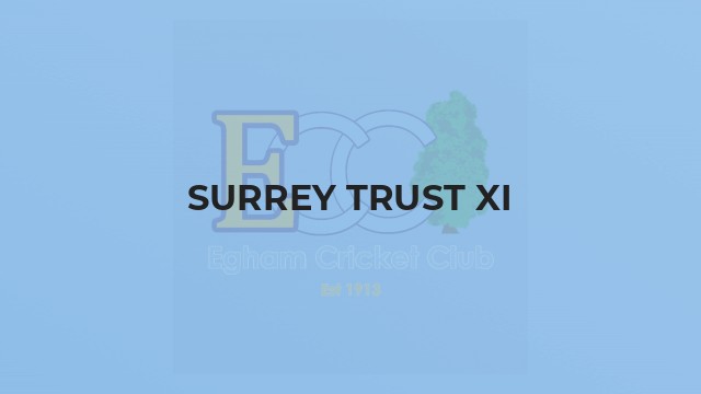 Surrey Trust XI