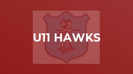 U11 Hawks