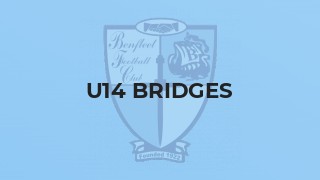 U14 Bridges