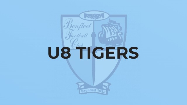 U8 Tigers