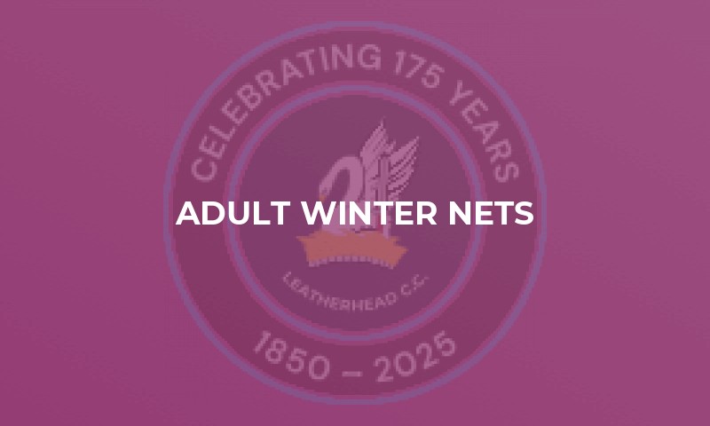 Adult Winter Nets